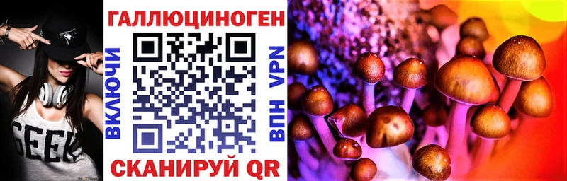 купить   Чебаркуль  Галлюциногенные грибы MAGIC MUSHROOMS 